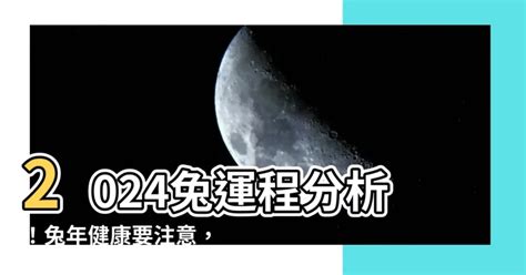 兔運程2024|屬兔2024運勢前瞻：每月運程詳析